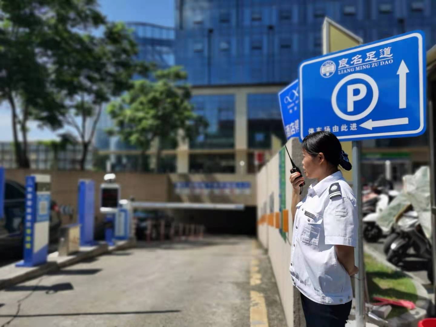 秩序部2.jpg 秩序部2.jpg